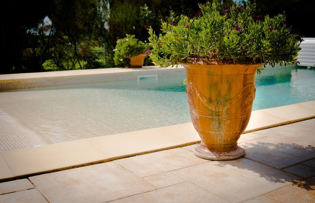 Le Clos de l'Olivade Saint-Just (Herault) Exterior foto