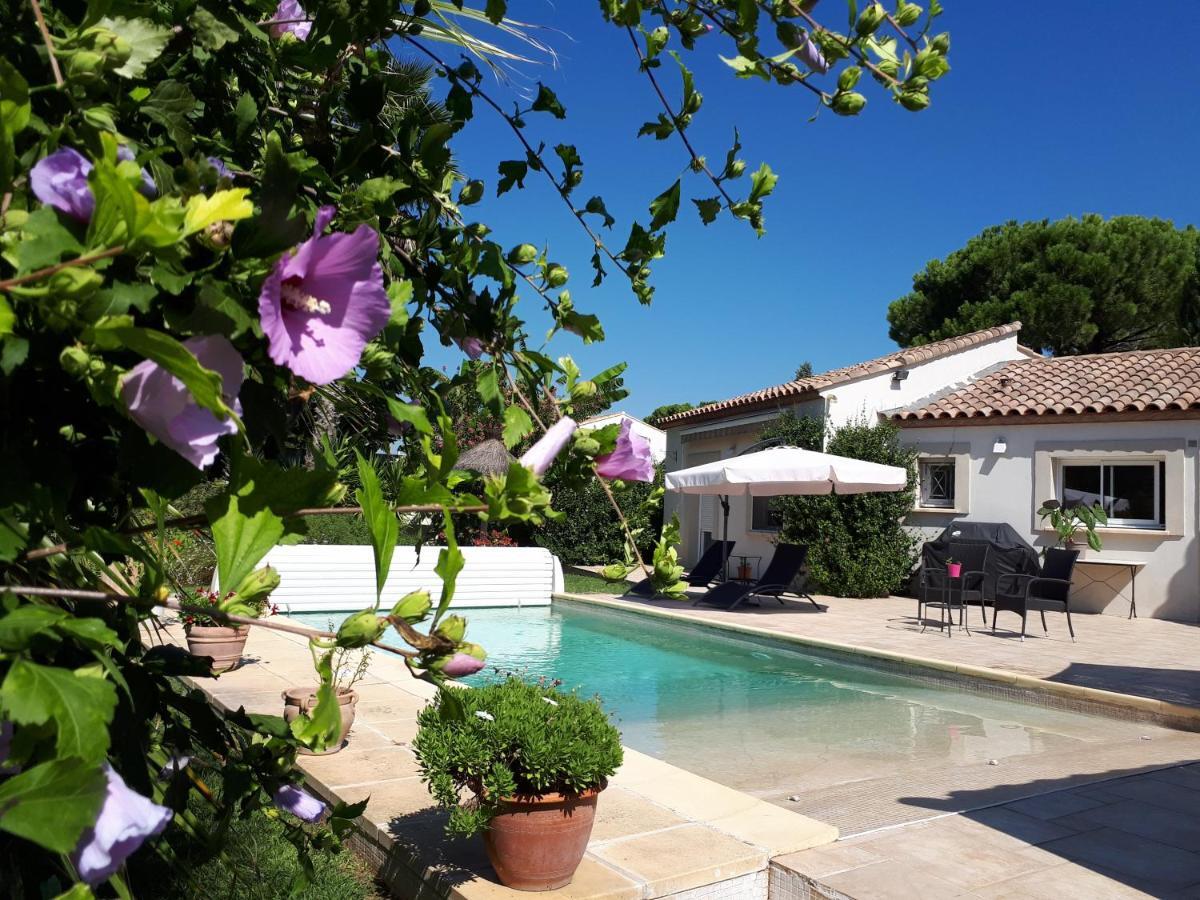 Le Clos de l'Olivade Saint-Just (Herault) Exterior foto
